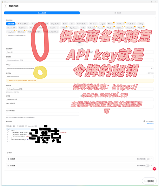 4-claude-填入配置信息.png